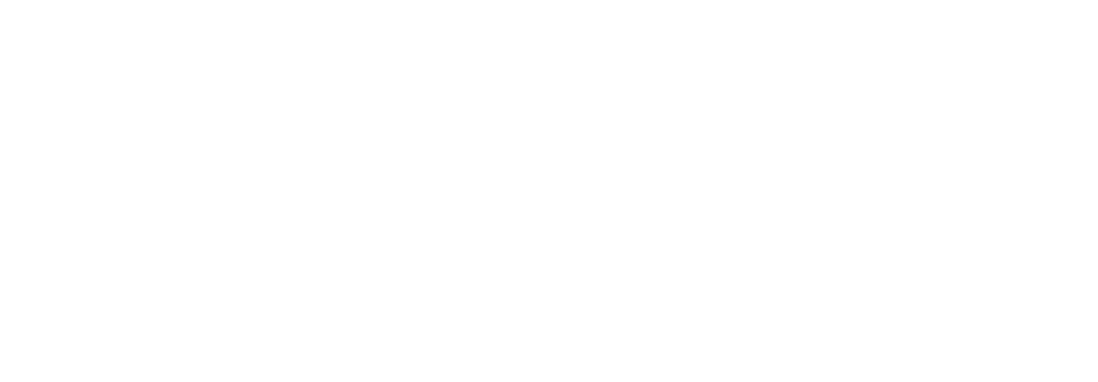 segurosoms